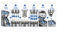 //jjrorwxhimlqlm5m.ldycdn.com/cloud/pmBplKorloSRplnrqooqkp/Capsule-Filling-Process-Flow.png